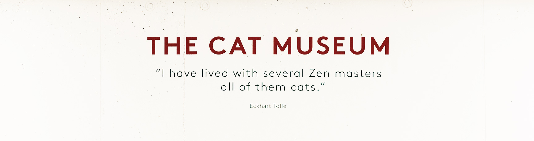 catmuseum_signage_art_00